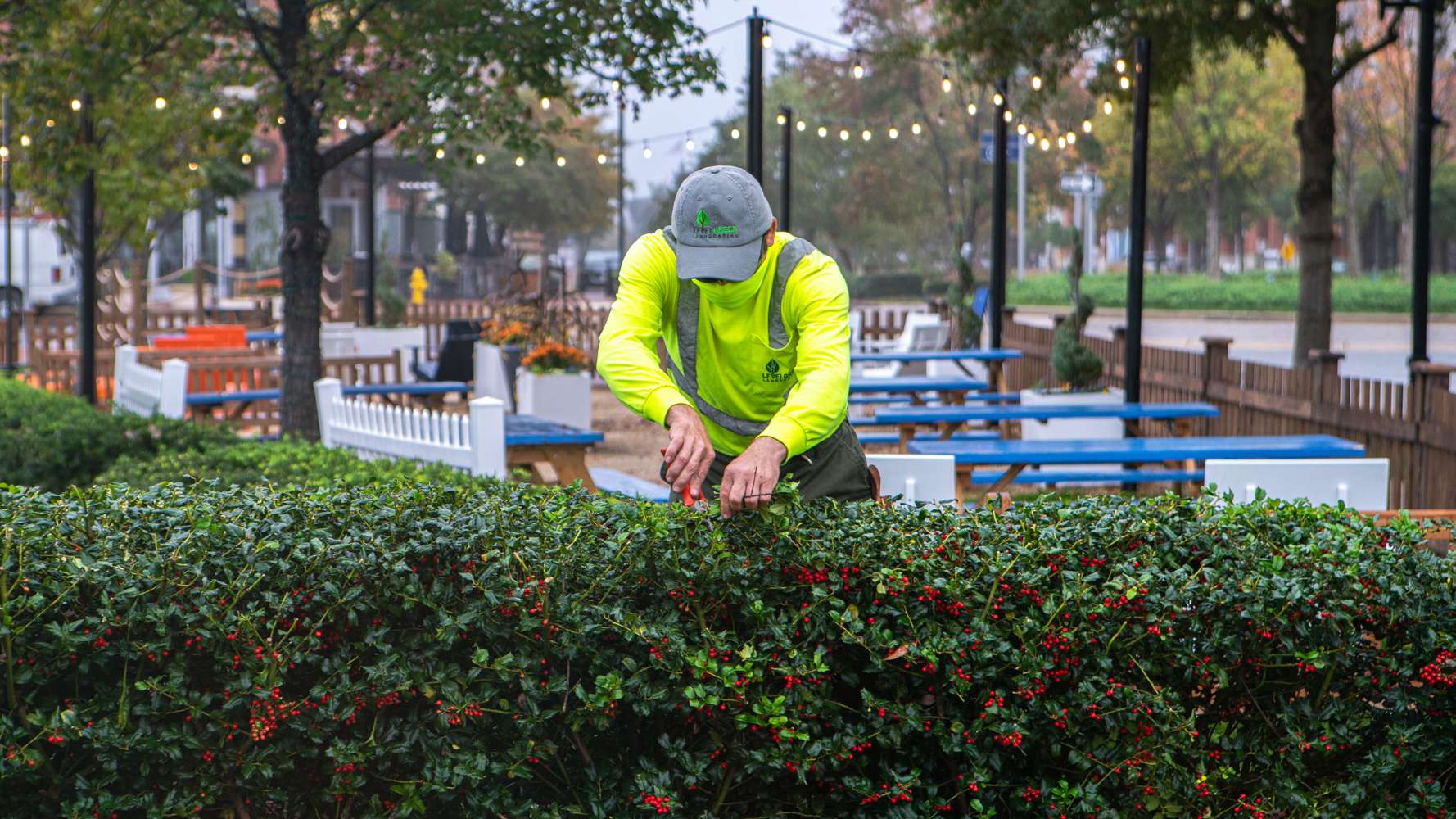 Commercial Landscape Maintenance Commercial Landscaping Services